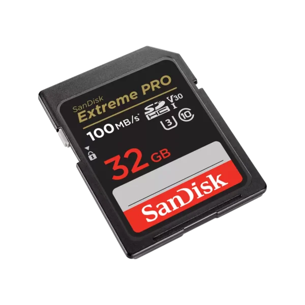 sandisk256go