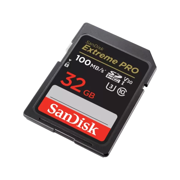 sandisk256go