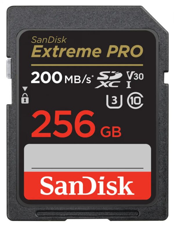sandisk256go