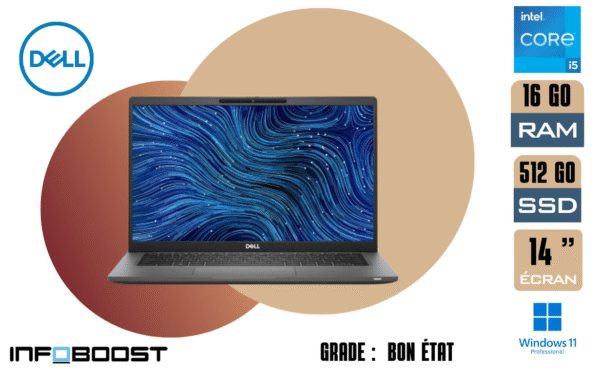 dell latitude 16go