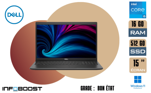 dell latitude