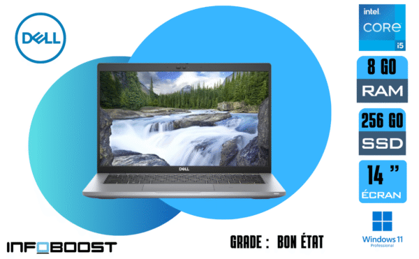 dell latitude